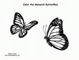 Monarch Coloring Butterfly Pages Butterflies Print Quality High Coloringhome sketch template