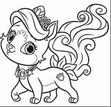 Coloring Pages Puppy Cute Princess Pomeranian Kids Dog Duke Color Pets Pet Printable Animals Print Getcolorings Colouring Funny Cartoon Bubakids sketch template