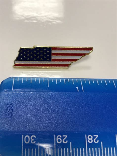 Tennessee State Lapel Pin Tn Us Flag American Usa Patriot Politics Ebay