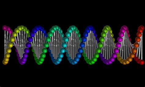 life forms  pass  artificial dna engineered   scientists