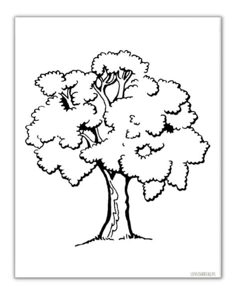 printable trees  leaves template  pages love  real
