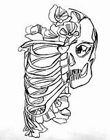 Drawing Rib Cage Heart Ribs Cliparts Clipart Human Clip Skeleton Library Coloring Template Use Computer Designs sketch template