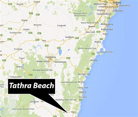 woman killed by shark off australia s tathra beach daily