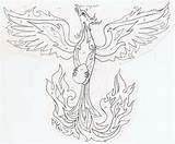 Phoenix Drawing Pages Coloring Elusive Evolution Draw Sketch Fawkes Template Step Sketched Outlines Wings 2010 Getdrawings July sketch template