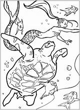 Coloring Pages Colouring Mermaid Color Mermaids Turtle Book Kids Horse School Publications Dover Welcome Merm Lineart Choose Board Fantasy Beautiful sketch template