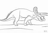 Jurassic Triceratops Kolorowanki Druku Indominus Wydruku Everfreecoloring Gorgosaurus Coloring4free sketch template