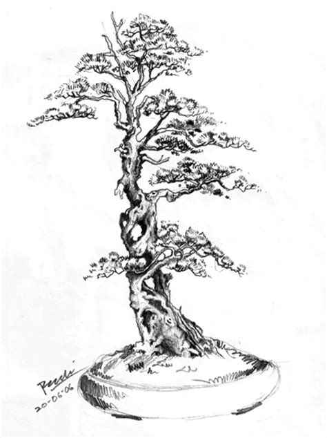 art  bonsai project feature gallery illustrations  rudi julianto