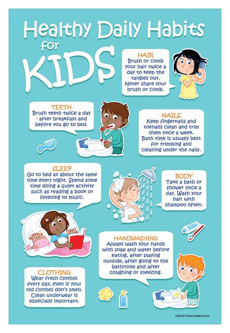 buy kids   daily habits hygiene laminated    inches