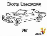 Cars Yescoloring Beaumont sketch template