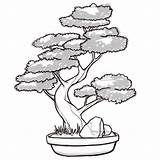 Bonsai Tree Drawing Japanese Draw Outline Tattoo Drawings Sketches Clipart Dessin Easy Wikihow Trees Line Steps Outlines Tattoos Save Flowers sketch template