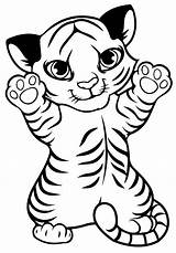 Tigre Pintar Tigres Recortar Faça Brincadeira Criançada Imprima Agitar ótimos Esses sketch template