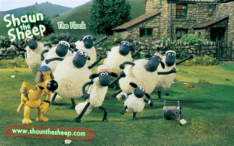 shaun  sheep shaun  sheep wallpaper  fanpop
