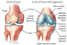 common ligament injuries assignment point