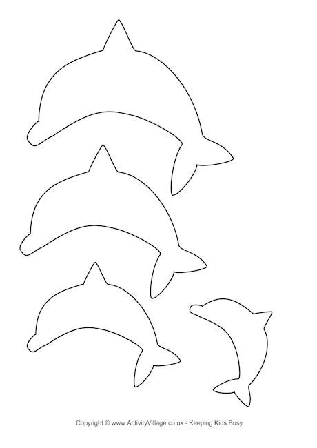 dolphin template