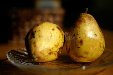 Ripened Pears Stock Image Image Of Fruit Farming Diet 8458585