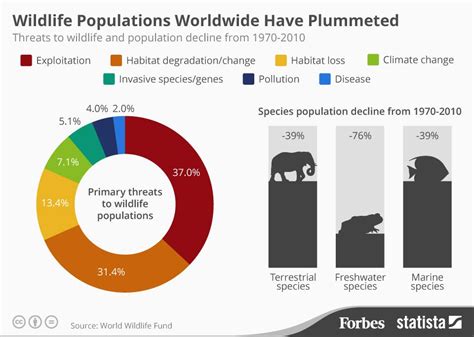 Half The Worlds Wildlife Has Vanished Since 1970 [infographic]