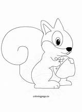 Squirrel Cute Coloring Cartoon Drawing Squirrels Getdrawings sketch template
