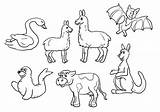 Llama Mama Coloring Printables Pages Pajama Red Printable Set Elf Shelf Misses Activities Mad Template Cat Drawing Animals Characters Animal sketch template