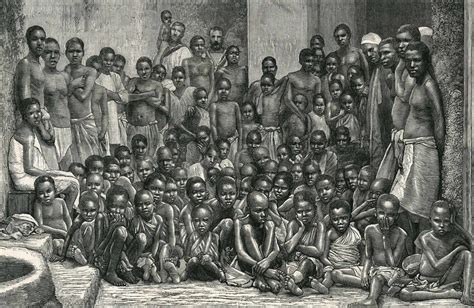 Slave Voyages Neh Edsitement