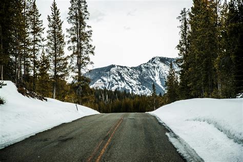 empty road  snow covered landscape  stock photo