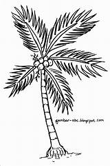 Pohon Kelapa Sketsa Mewarnai Daun Hitam Pantai Menggambar Buah Sindunesia Batang Akar Berbuah Manfaat Tunas Tanah Koleksi Spesial Krayon Pemula sketch template