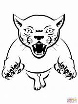 Panther Coloring Pages Drawing Baby Panthers Bears Chicago Color Attacking Cute Printable Logo Outline Animal Florida Face Puma Getdrawings Head sketch template