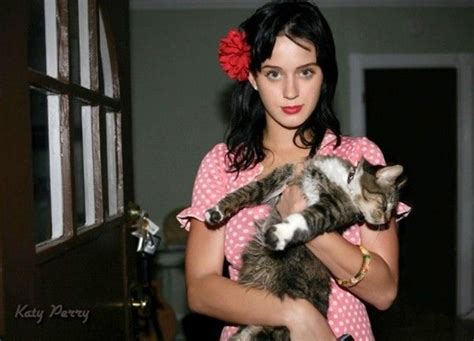 katy perry celebrities with cats hollywood celebrities celebs grey