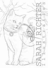Fantasy Salem Richter sketch template