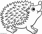Hedgehog Mammal Coloringall sketch template