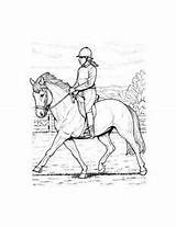Horse Coloring Pages Jumping Dressage Printable Print Show Realistic Riding Horses Pferde Ausmalbilder Color Popular Getcolorings Coloringhome Reiterin Mit Getdrawings sketch template