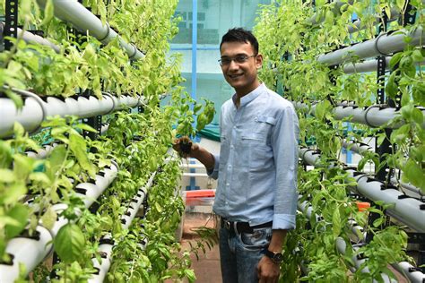 hydroponics startups  slowly growing  indian consumers krasia