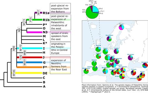 Sardinian People [genetics] Y Dna Haplogroups
