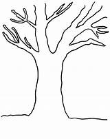 Arbre Drzewa Albero Kontury Automne Kolorowanka Arbres Drzewo Druku Jesienne Darbre Colorier Liście Malowankę Wydrukuj Drukowanka Drukowania Lub sketch template