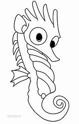 Seahorse Seepferdchen Carle Ausmalbilder Cool2bkids Herr sketch template