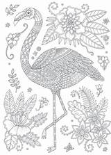 Flamingo Coloring Pages Adult Adults Zentangle Flamingos Card Coloriage Mandala Printable Mycoloring Colouring Choose Board Bird Rose Color sketch template