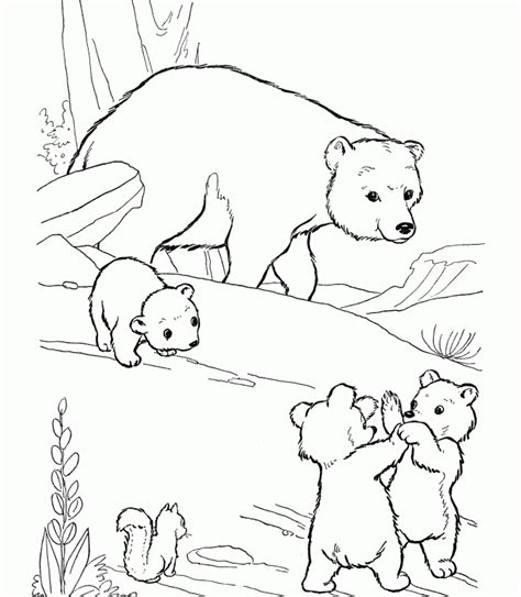 smokey bear coloring pages  kids