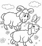 Lamb Coloring Pages Baby Getdrawings sketch template