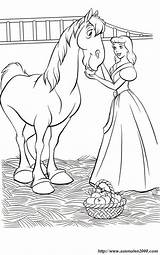 Cinderella Caballo Kolorowanki Caballos Kopciuszek Cavalo Cenicienta Mele Cavallo Pferd Prince Cavalos Cinderela Junge Seinem Pobrania Tagliata Duna Stampata sketch template