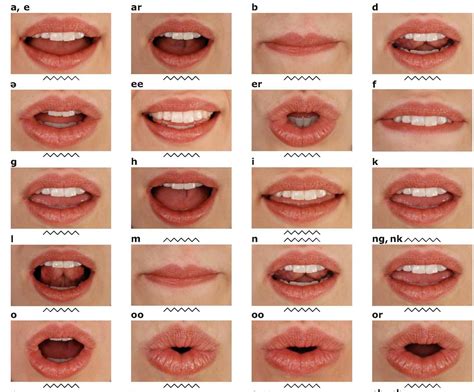 pin by kristen wilson on tegning lip types lips lip shapes