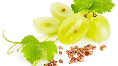 seedless grapes   seeds