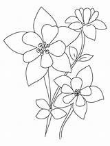 Columbine Coloring Flower Designlooter Pages sketch template