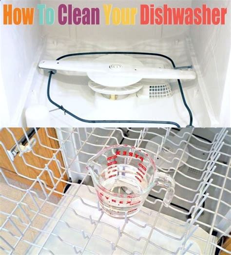 clean  dishwasher run dishwasher   cup  vinegar