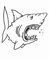 Shark Coloring Pages Sharks Kids Drawing Jaws Great Hungry Color Funny Print Children Outline Template Jaw Printable Chibi Hammerhead Getdrawings sketch template