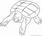 Snapping Turtle Coloring Pages Animals Coloringpages101 Turtles Color Kids Printable Reptiles sketch template