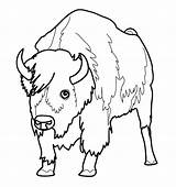 Bison Coloring Pages Buffalo Bill Printable Kids Bills Bullet Print Coloriage Animal Animaux Animals Dessins American Color Imprimer Getcolorings Colorier sketch template