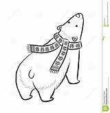 Scarf Bear Polar Outline Winter Print Drawn Hand Illustration Vector Preview sketch template