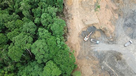 amazon deforestation shot     month satellite data show