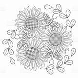 Sunflowers Fiori Bordar Girasoli Girasoles Coloritura Stilizzati Schizzo Farfalle Sforzo Gogh Bordado Margaritas Mandalas Mariposas sketch template