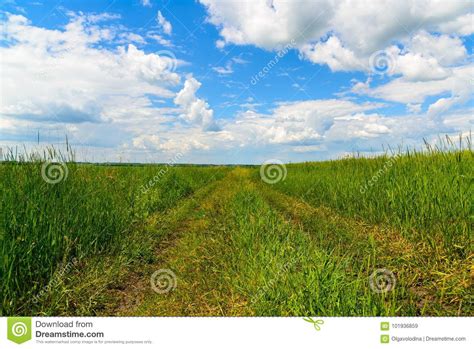 Country Road Among Green Grass In Russia Stock Image