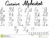 Cursive Alfabeto Cursiva Abecedario Cursivas Letters Corsive Lettere Kursive Buchstaben Números Inglés Ingles Cursivo Mayuscula Abecedarios sketch template